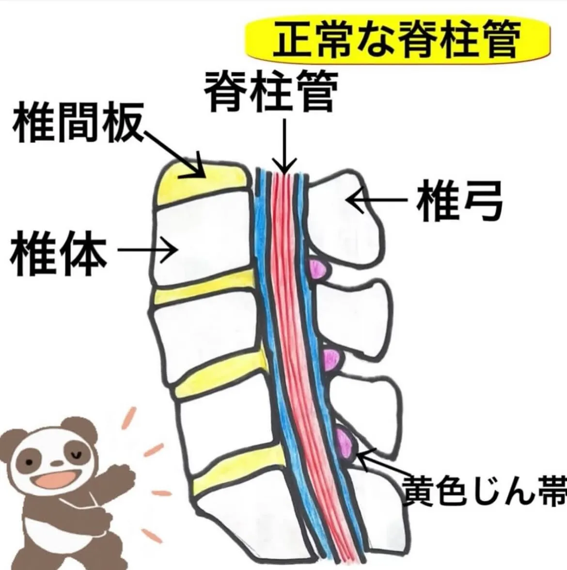 こんにちは😃