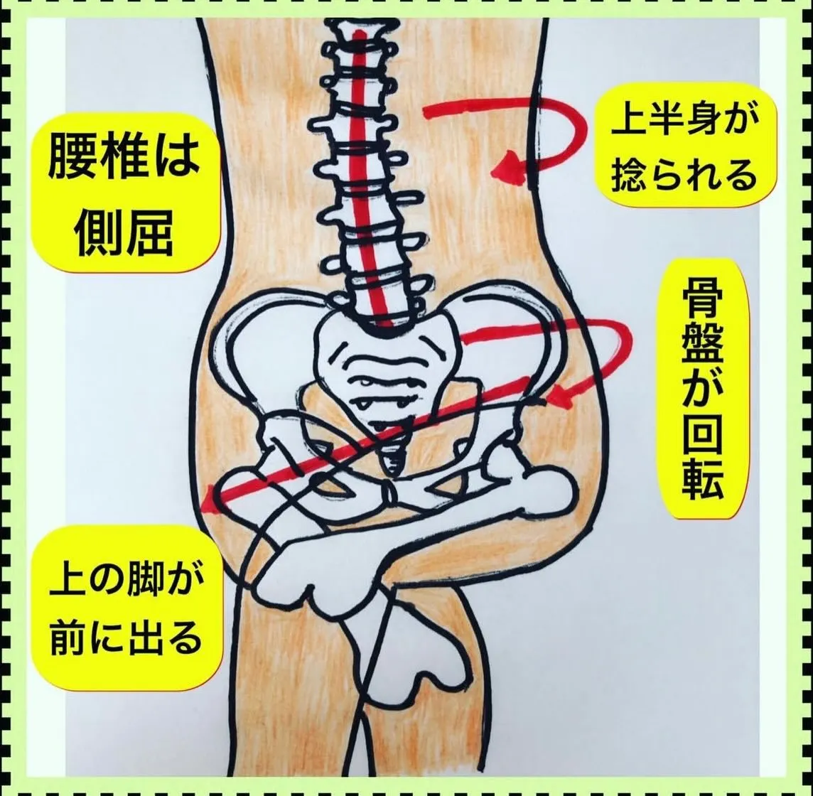 こんにちは😃
