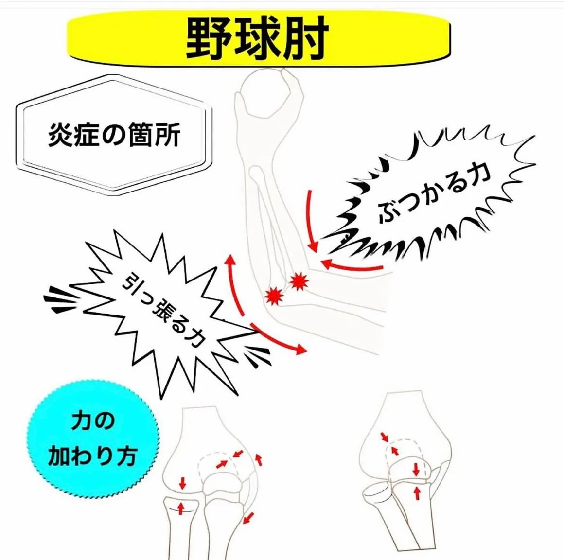 こんにちは😃