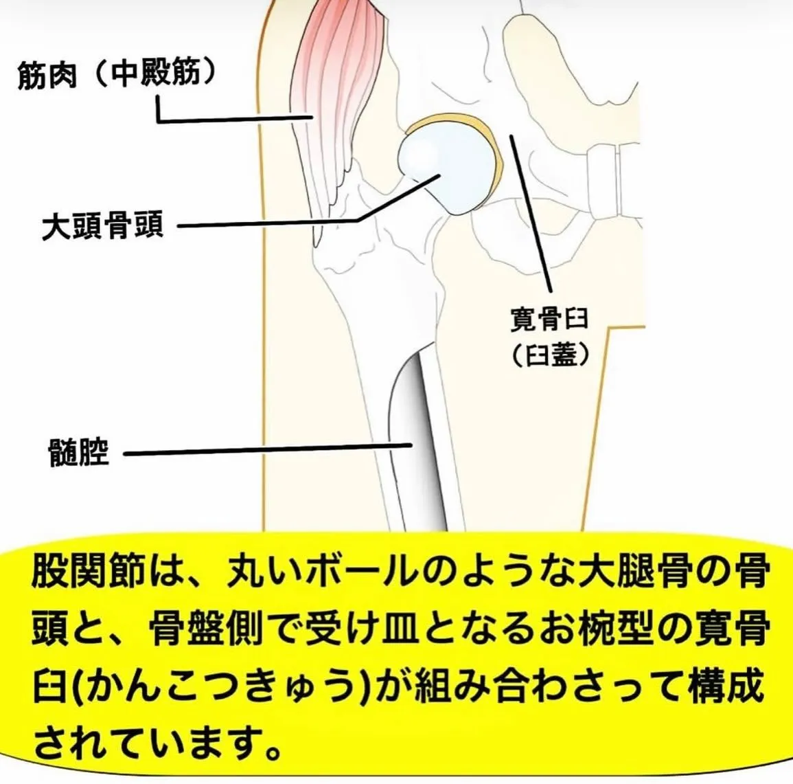 こんにちは😃