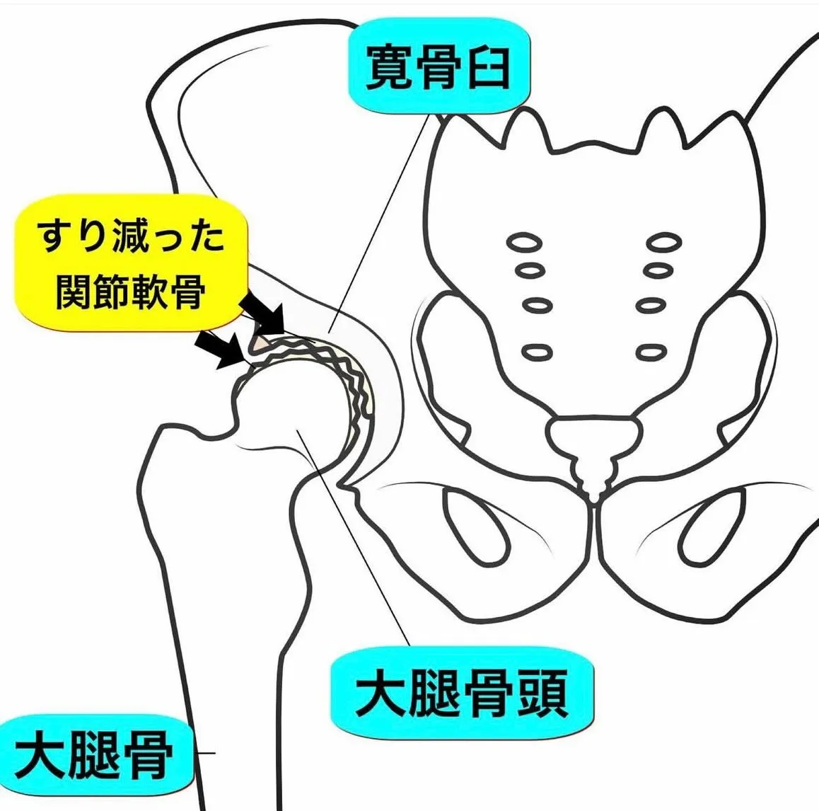 こんにちは😃