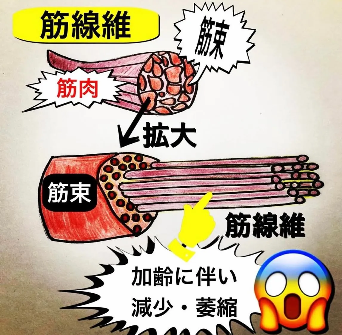 こんにちは😃
