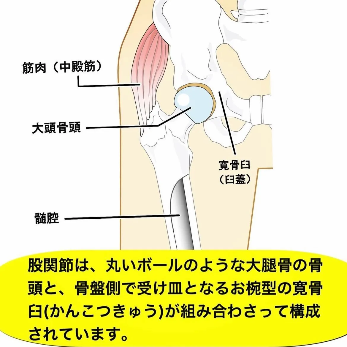 こんにちは😃