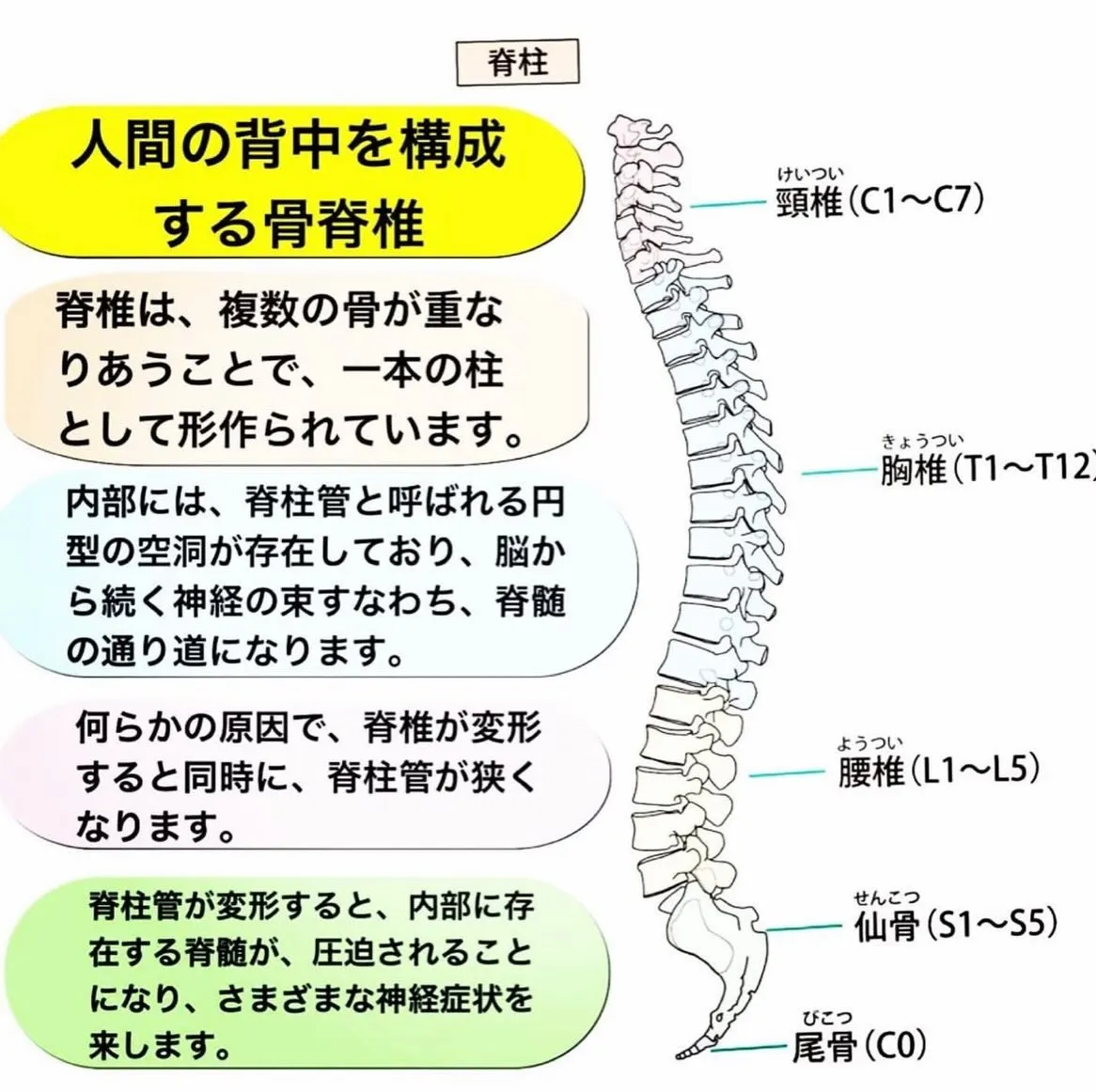 こんにちは😃