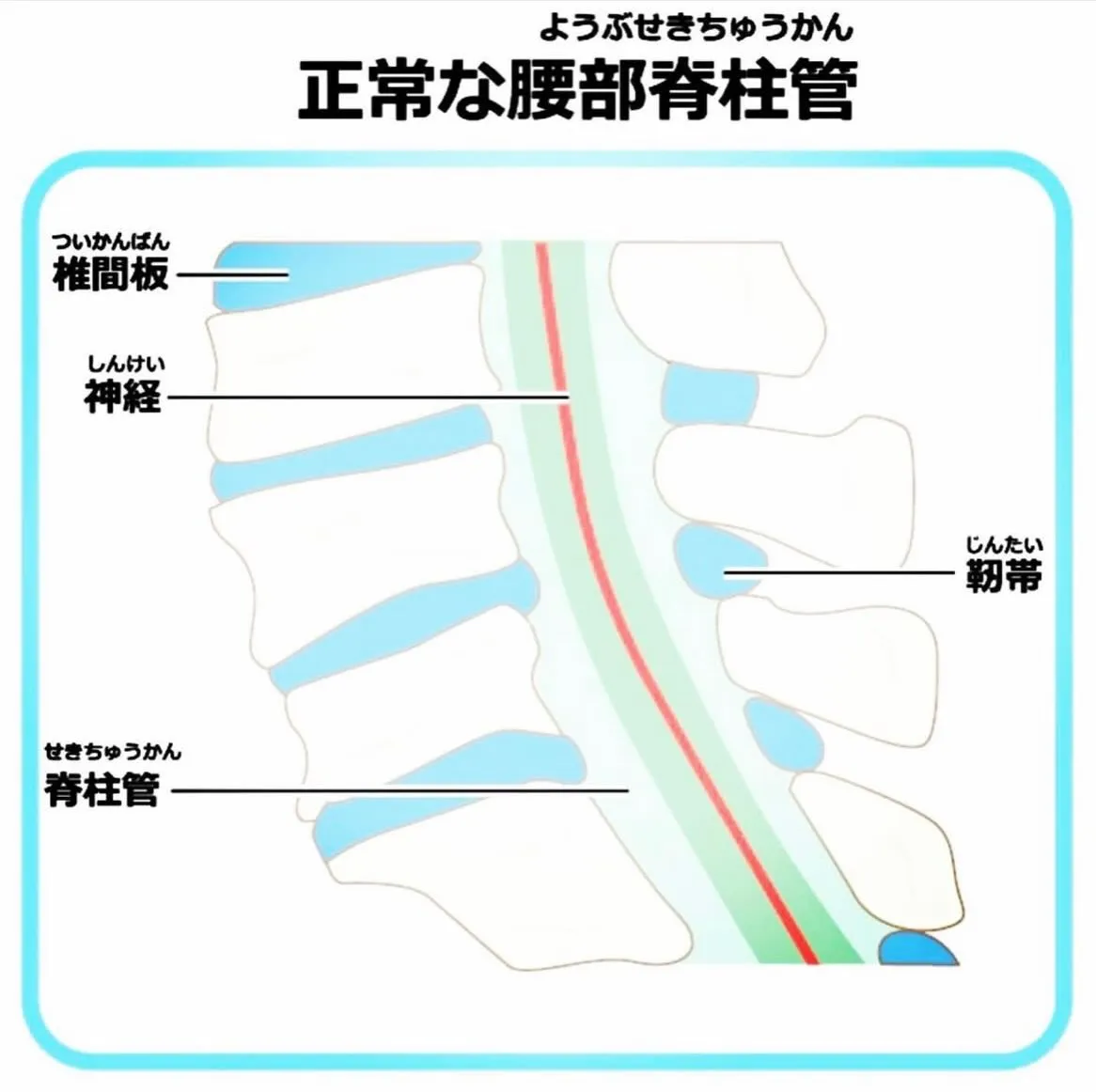 こんにちは😃