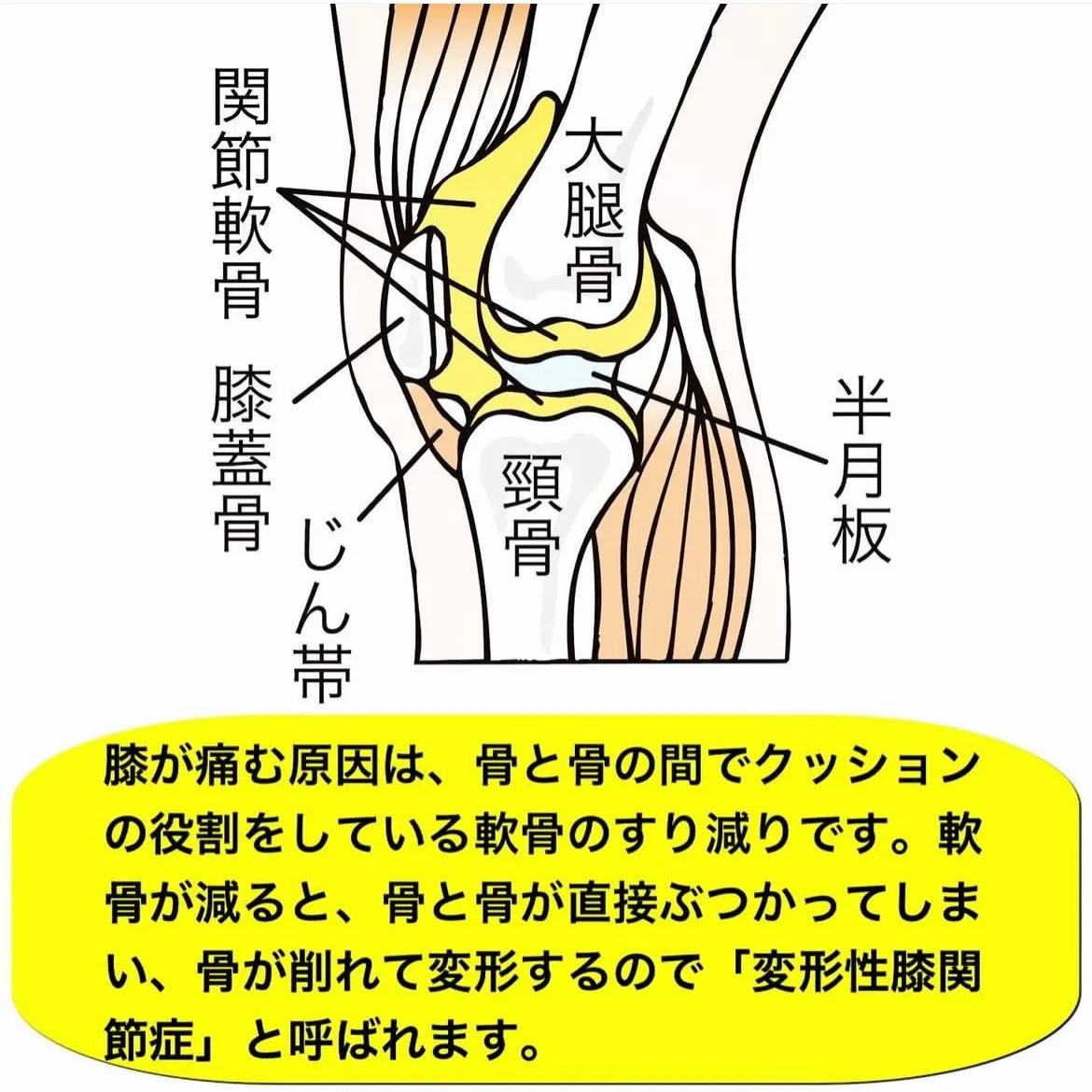 こんにちは😃