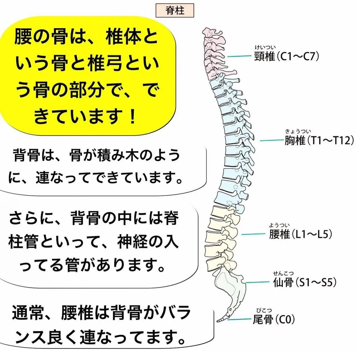 こんにちは😃