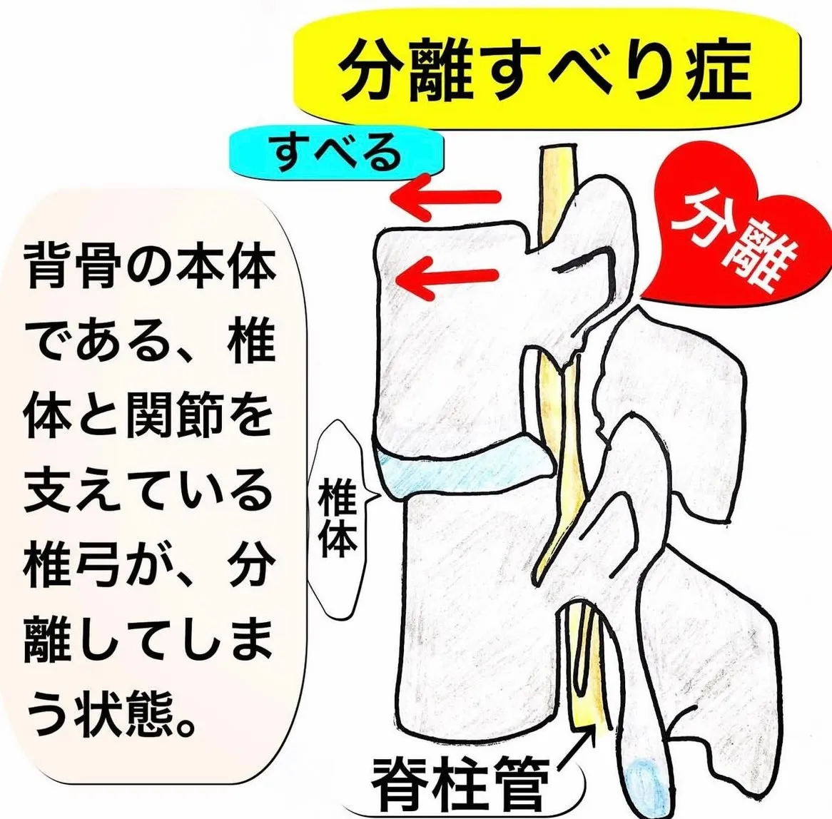 こんにちは😃