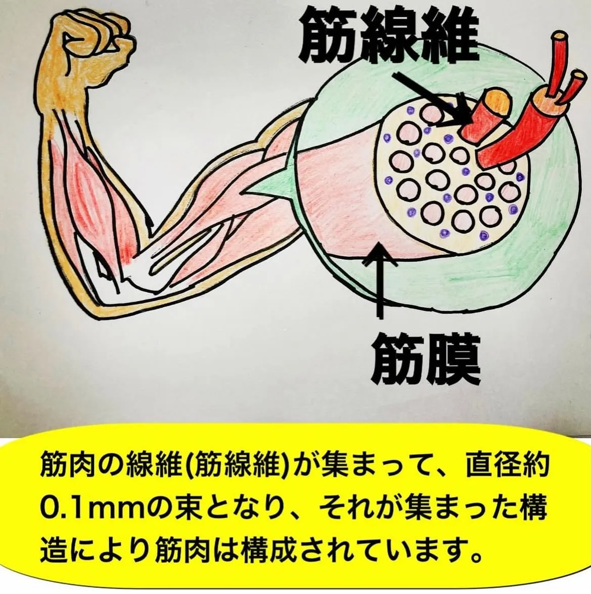 こんにちは😃