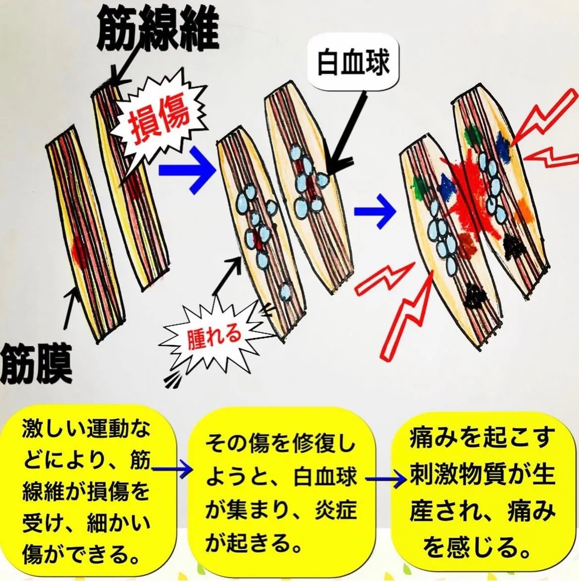 こんにちは😃