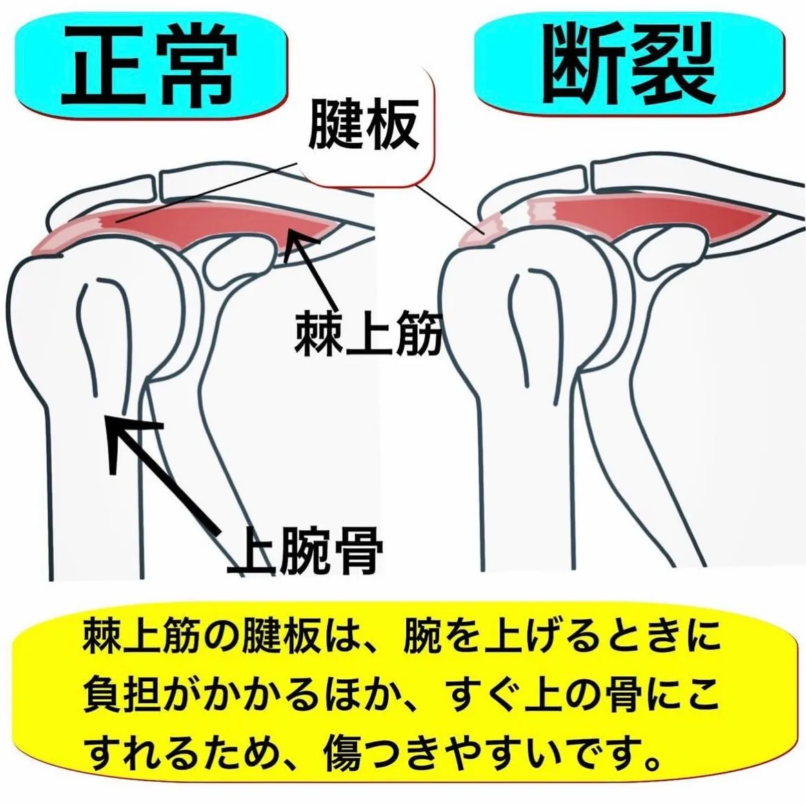 こんにちは😃