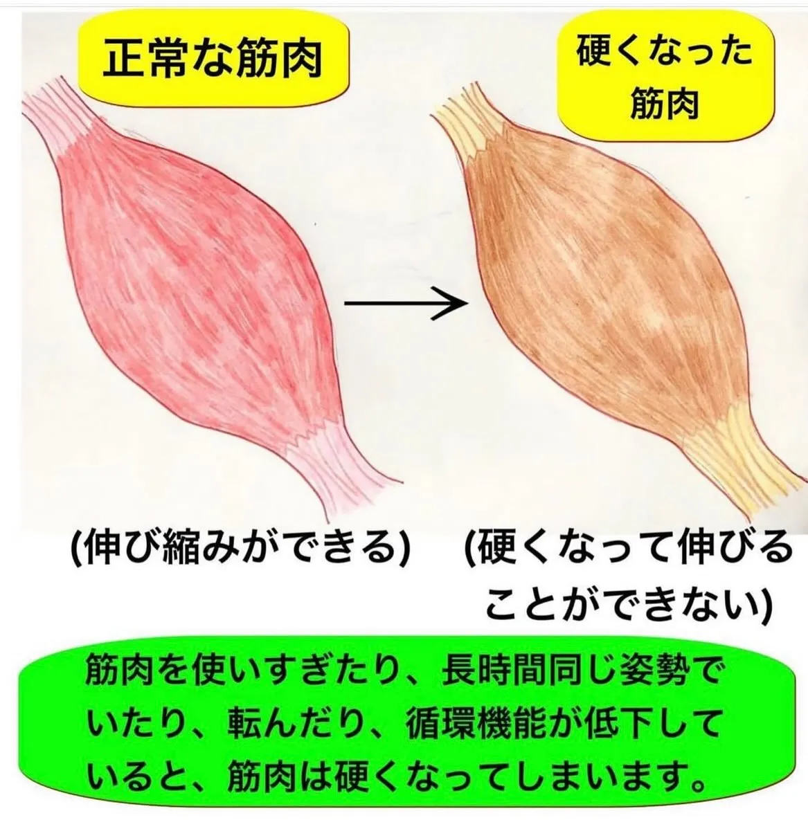 こんにちは😃