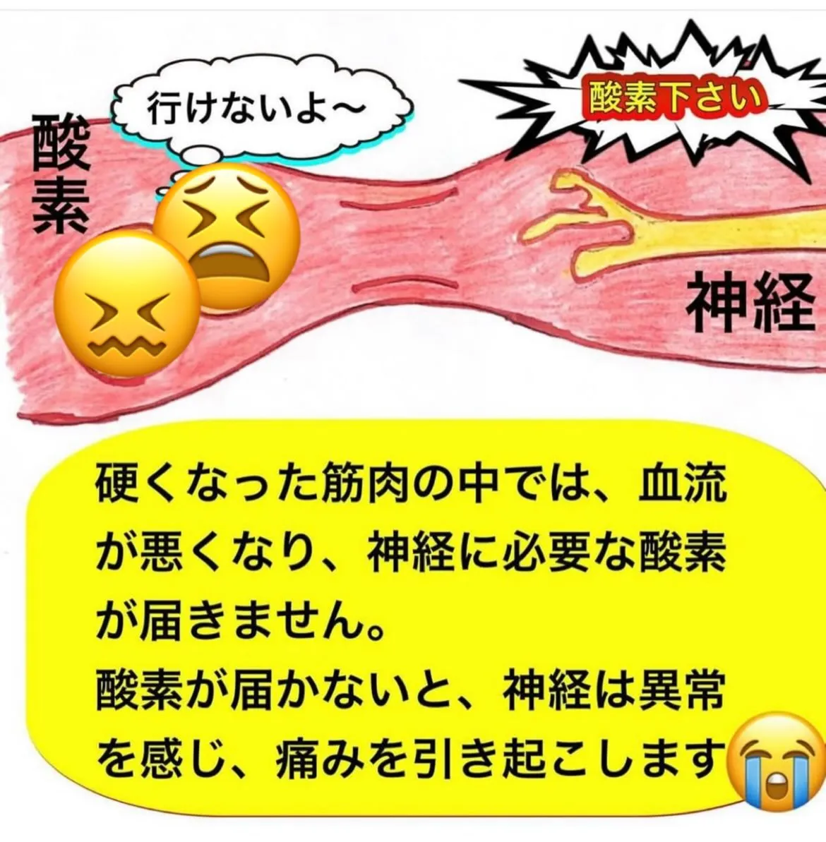 こんにちは😃