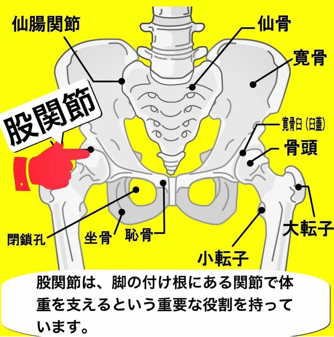 こんにちは😃