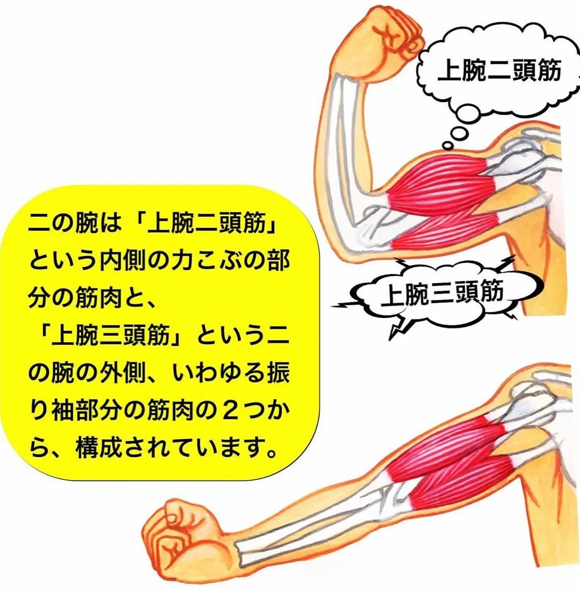 こんにちは😃