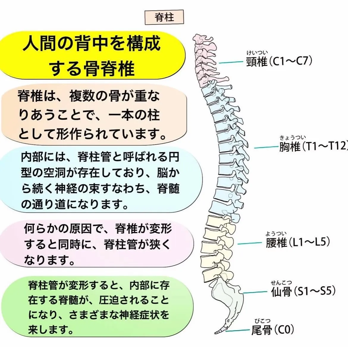 こんにちは😃