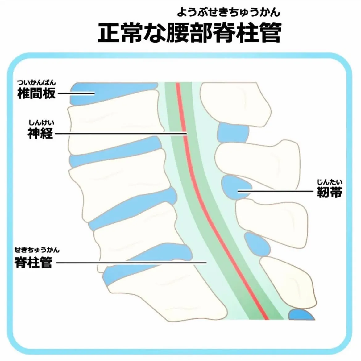 こんにちは😃