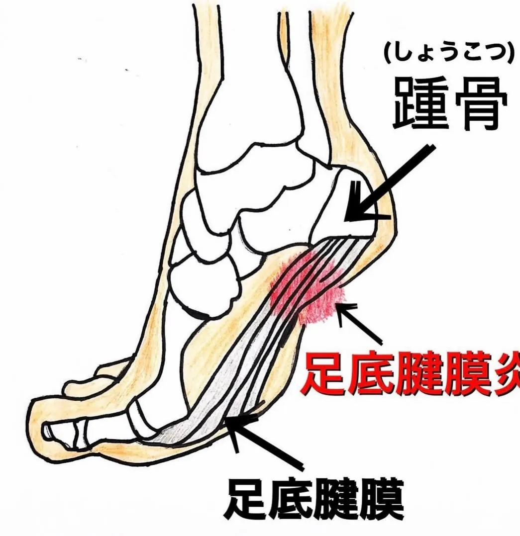 こんにちは😃