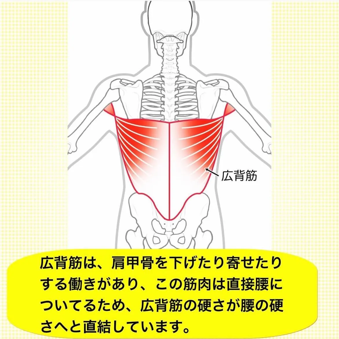 こんにちは😃