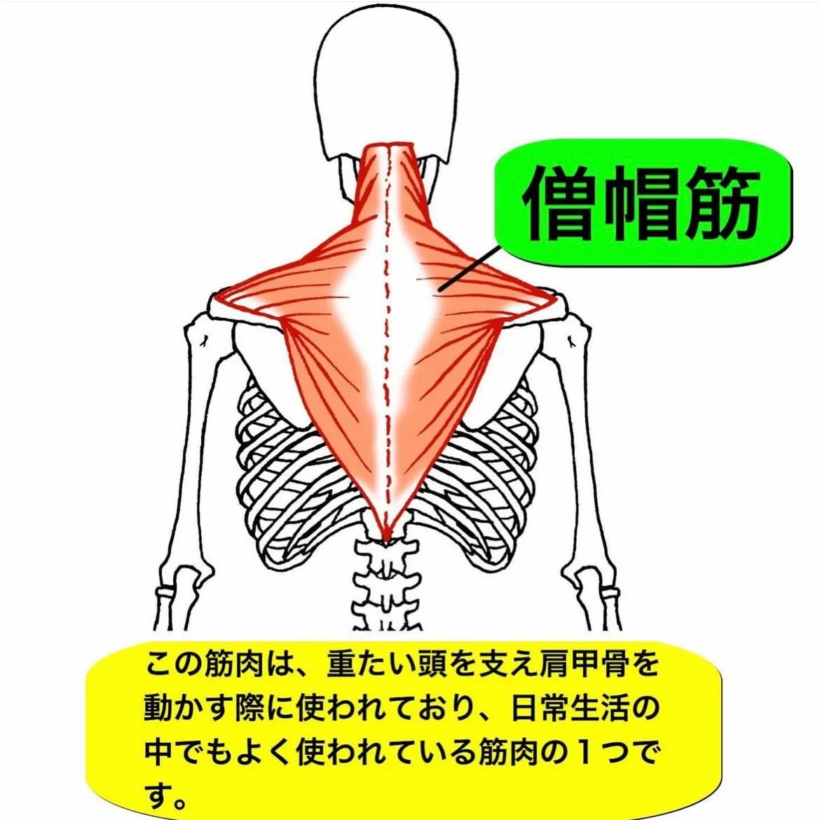 こんにちは😃