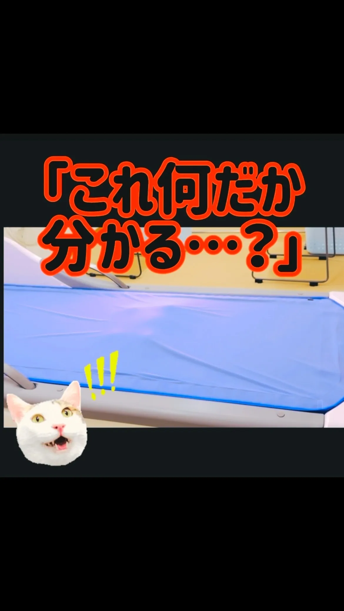 こんにちは😃